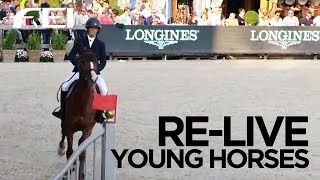 RELIVE  FEIWBFSH World Breeding Jumping Championships for Young Horses [upl. by Hanzelin467]