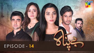 Bepanah  Episode 14   Eshal Fayyaz  Khaqan Shahnawaz  Kanwal Khan  7th November 2022  HUM TV [upl. by Nodnnarb]