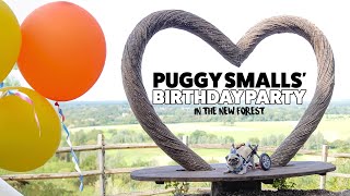 Puggy Smalls dog birthday party at Away Resorts New Forest [upl. by Alderman651]