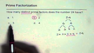 01 Distinct Prime Factors for 24 [upl. by Zeiger]