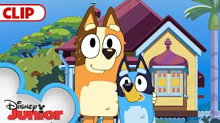 Bluey Season 3 Episode 18 quotRainquot Episode Clip  disneyjr  BlueyOfficialChannel​ [upl. by Eemia892]