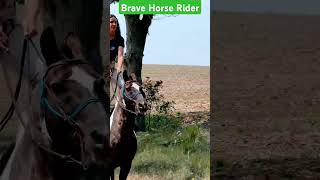 Brave horse riderBrave ladySrong ladyHorse riderHorse Riding [upl. by Einberger]