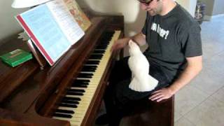 Bare Eyed Cockatoo helps play the piano [upl. by Oates]