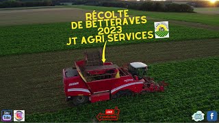 Récolte de Betteraves 2023 ETA JT Agri Services 😱😱 [upl. by Maggio]