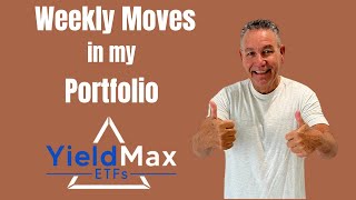 YieldMax ETFs Weekly Moves in my Portfolio💰 [upl. by Hartwell624]