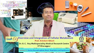 Lecture 11 Hexose Monophosphate Shunt  Regulation and Significance [upl. by Annayrb829]