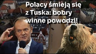 Ekologia w Polsce Bezsilność władz na Zachodzie Zielona agenda  Białoruska wizja [upl. by Haidabez403]