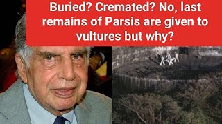 Why Are Vultures Declining in India  Impact on Parsi Funeral Traditions [upl. by Eirrod978]