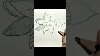 Bell Flower🥀 music edm bass remix dubstep art easyflowerdrawingforkids drawing india [upl. by Ahsoek235]