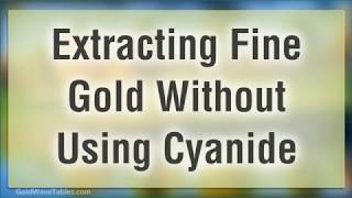 Extracting Fine Gold Without Using Cyanide [upl. by Syverson160]