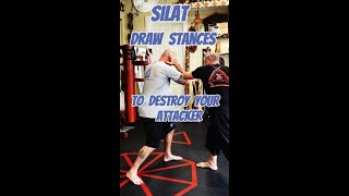 Master Silat Draw Stances for Effective Defense [upl. by Dirrej]