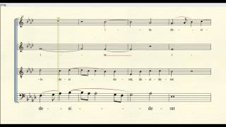 quotSicut Cervusquot by Palestrina bass part [upl. by Luelle]