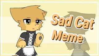 Sad Cat meme [upl. by Tonkin]