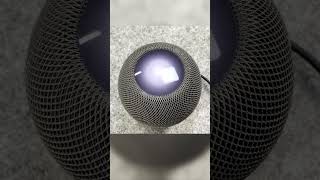 Así Suena  HomePod Mini 2023 homepodmini pruebadesonido homepod [upl. by Boatwright]