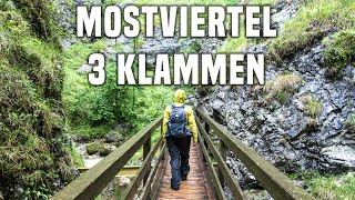 Mostviertel 3 spektakuläre Klammen für einen tollen Familienausflug leichte Wanderungen [upl. by Liris668]