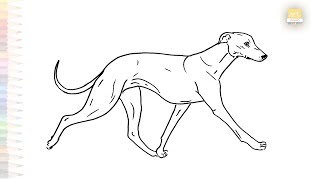 Whippet dogs drawing easy  Art tutorial  How to draw A Whippet dog STEP BY STEP  artjanag [upl. by Slyke366]