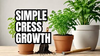 How to Grow Lepidium sativum at Home  Easy Steps for Planting and Harvesting [upl. by Reeba]