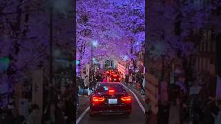 Japan walking tour  Amazing views I love that place youtubeshorts shourts japan [upl. by Nalad588]