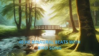 SO BEAUTIFUL 40 Hz Binaural Beats With Bird Song [upl. by Llehsram243]