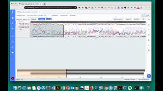 Sequence Analysis Protocol  Assess Sequence Quality  Benchling Netbook [upl. by Renba675]