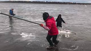 Kenai Dipnetting July 24th 2021 [upl. by Cirdec]