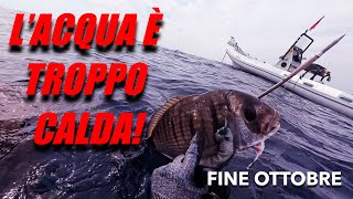 PESCASUB AD OTTOBRE CON LACQUA ANCORA 26 GRADI [upl. by Alimaj]