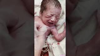 So cute newborn baby viral baby shorts subscribe ytshorts love cutebaby [upl. by Neelik]