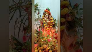 Ksheerabdhi Dwadashi Pooja karthikamasam dwadashi pooja trending viralvideo [upl. by Nesral331]