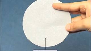 Sedimentation Decantation and Filtration  DM  Class 6 [upl. by Earl416]