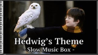 1 Hour Loop Hedwigs Theme  Harry Potter Slow Music BoxMIDI [upl. by Valdes586]