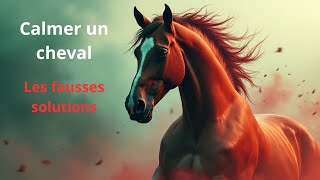 Les fausses solutions pour faire redescendre les chevaux en pression [upl. by Riggs176]