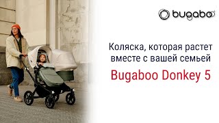 Bugaboo Donkey 5 Mono BLACK [upl. by Ulick354]