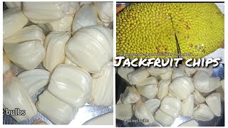 Homemade jackfruit chips [upl. by Ardenia]