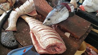 AMAZING CUTTING SKILL  FISH CUTTING amp CHOPPING BY EXPERT FISH CUTTER [upl. by Yelkcub]