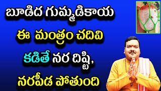 బూడిద గుమ్మడికాయ కట్టేటప్పుడు ఖచ్చితంగా చదవాల్సిన మంత్రం  Budida Gummadikaya Ela Kattali [upl. by Aikym]