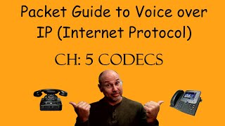 Packet Guide to VoIP Chapter 5  Codecs [upl. by Eskil916]