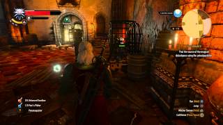 The Witcher 3  Disturbance Find Magical Disturbance Dimeritium Potestaquisitor Gameplay [upl. by Yot]