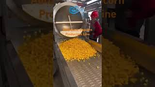 Automatic Popcorn Production Linepopcornpopcornmachineproductionline [upl. by Atsirk]