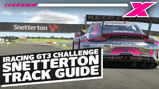 Snetterton 300  davecamyt iRacing Porsche GT3R Track Guide [upl. by Aretahs125]