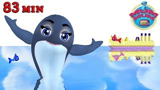 Blue Whale  Animal Songs amp more Popular Nursery Rhymes Songs  Wheels on the bus [upl. by Byler]