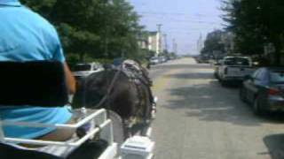 Cape May City Carriage Ride Tour [upl. by Ingar725]