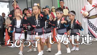 ゆうま君参加のちびっ子メドレー「いなせ連」4つの会場の阿波踊り（2021111） [upl. by Tadio]