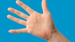 How to Use Your Hand to Measure Portion Sizes [upl. by Winthorpe]