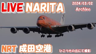 🔴LIVE at NARITA International Airport Plane Spotting 20240302 成田空港ライブカメラ 成田空港 NRTRJAA [upl. by Bowra350]