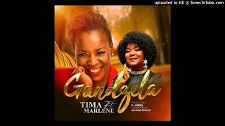 Tima  Gandzela feat Marllen 2024 [upl. by Yasmin]