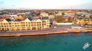 Playa  Kralendijk Bonaire [upl. by Nollahs198]