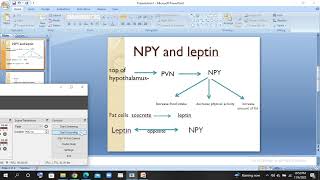 Role of NPY and Leptin in controlling eating health psychology urduhindi lec [upl. by Kubis526]