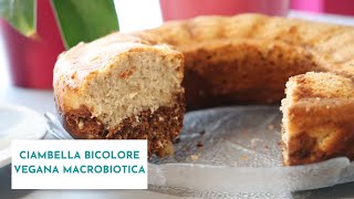 Torta vegana bicolore ricetta macrobiotica [upl. by Ailadi321]