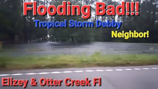 Otter Creek Fl Trropical Storm Debby  Flooded Trees Down Tubular Town Damaged [upl. by Gombosi512]