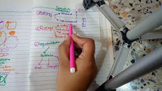 BACTERIAL CONJUNCTIVITIS part 1 MUCOPURULENT CONJUNCTIVITIS in easiest way [upl. by Marge]